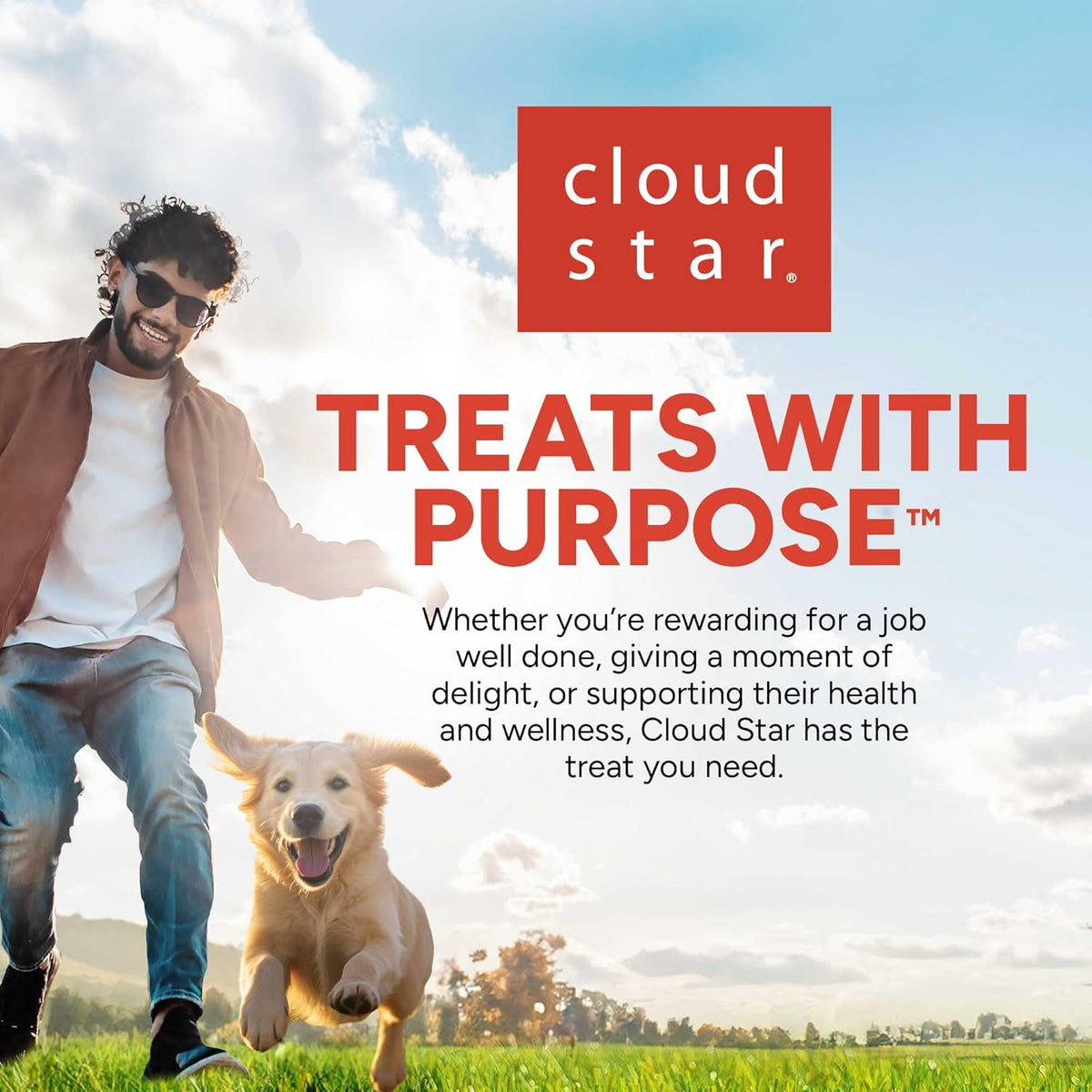 Training Rewards Mini Soft & Chewy, Chicken Flavor, 10 Oz
